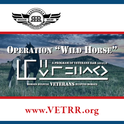 Operation Wild Horse – Mustangs Helping VETERANS Helping Mustangs